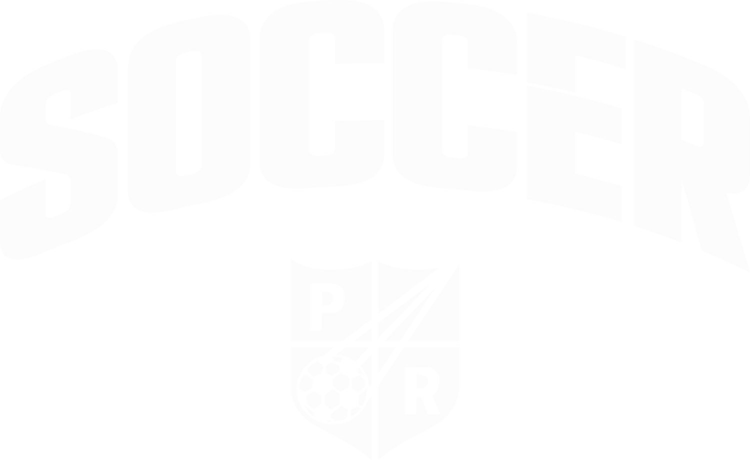 Plainfield Revolution Soccer